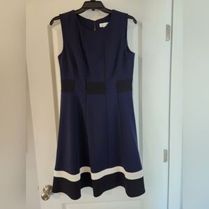 Professional navy flare dress
